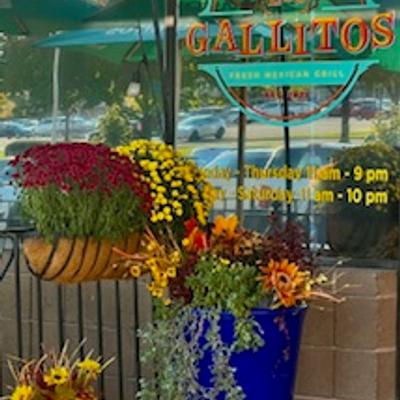 red yellow orange fall flowers on our patio creating an enticing atmosphere.