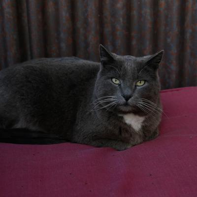 gallery photo number 19