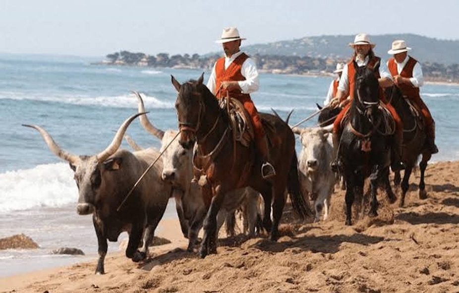TUSCAN COWBOY SUPPER CLUB event photo