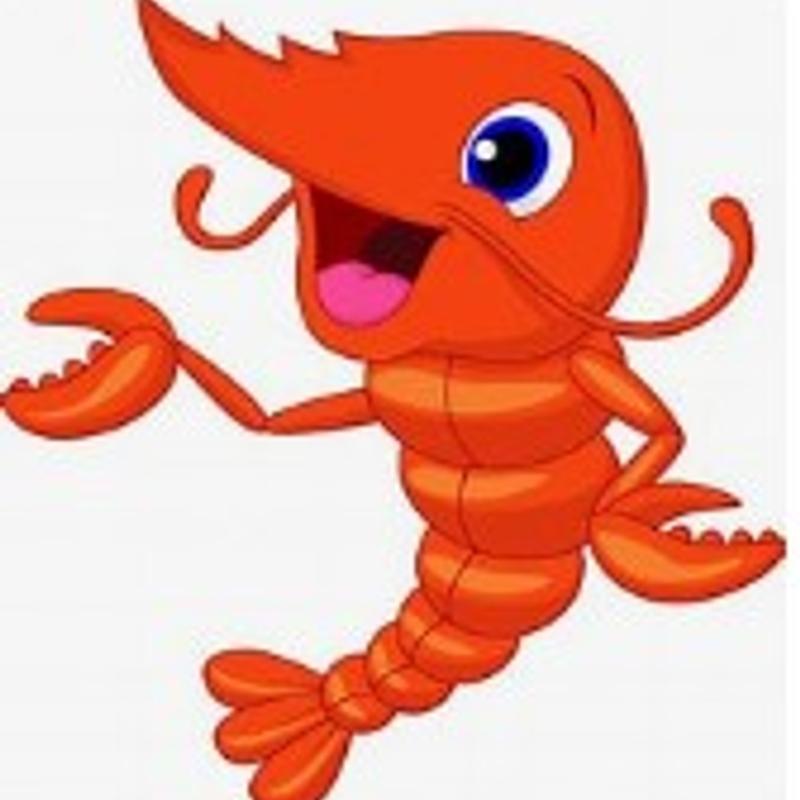 Kid Shrimp Plate photo