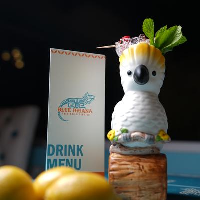 gallery photo number 12