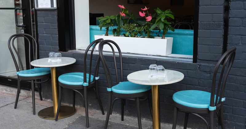 Outdoor café tables with turquoise chairs and potted plants at the window