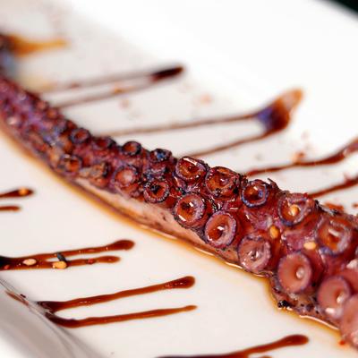 Served grilled octopus.
