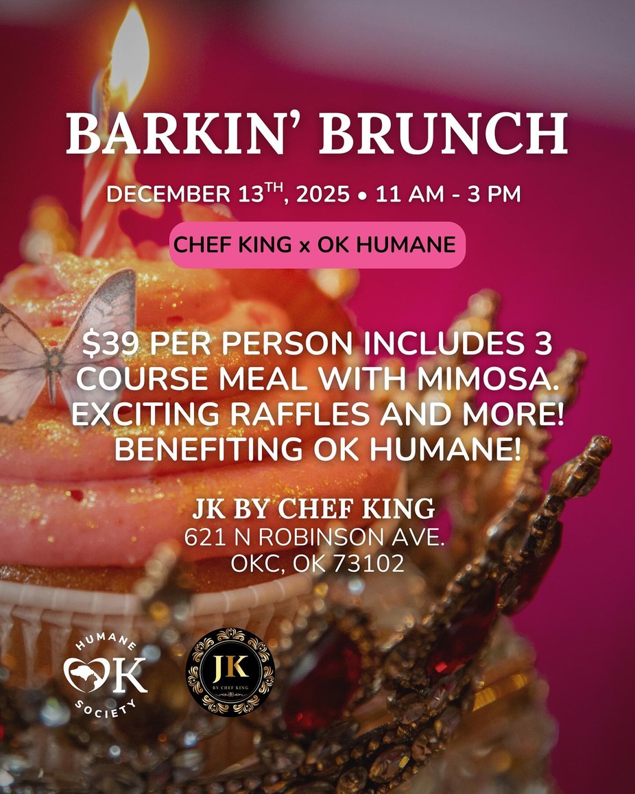 Brunch for a Cause event photo