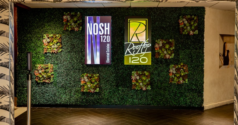 Interior, entrance hall, green wall, brands
