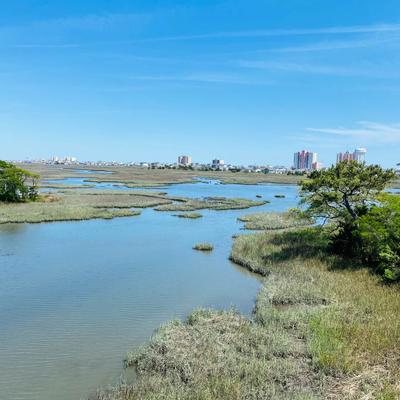 A view of marsh.