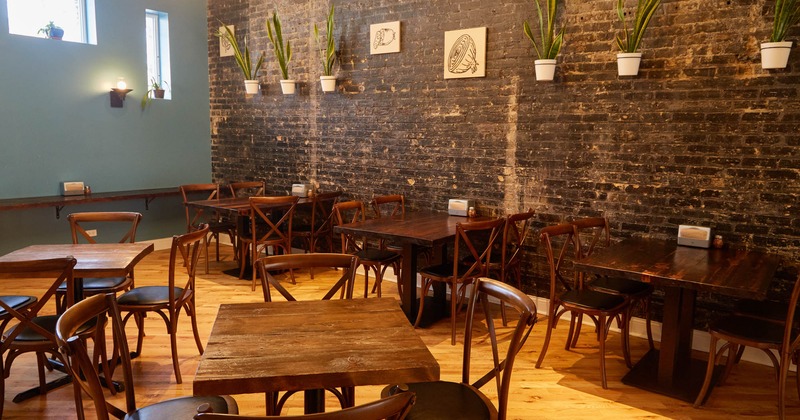 Interior, seating area, tables for four, plant pots hanging from the wall, wooden flooring