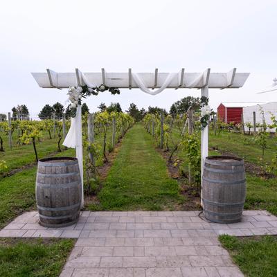 gallery photo number 33