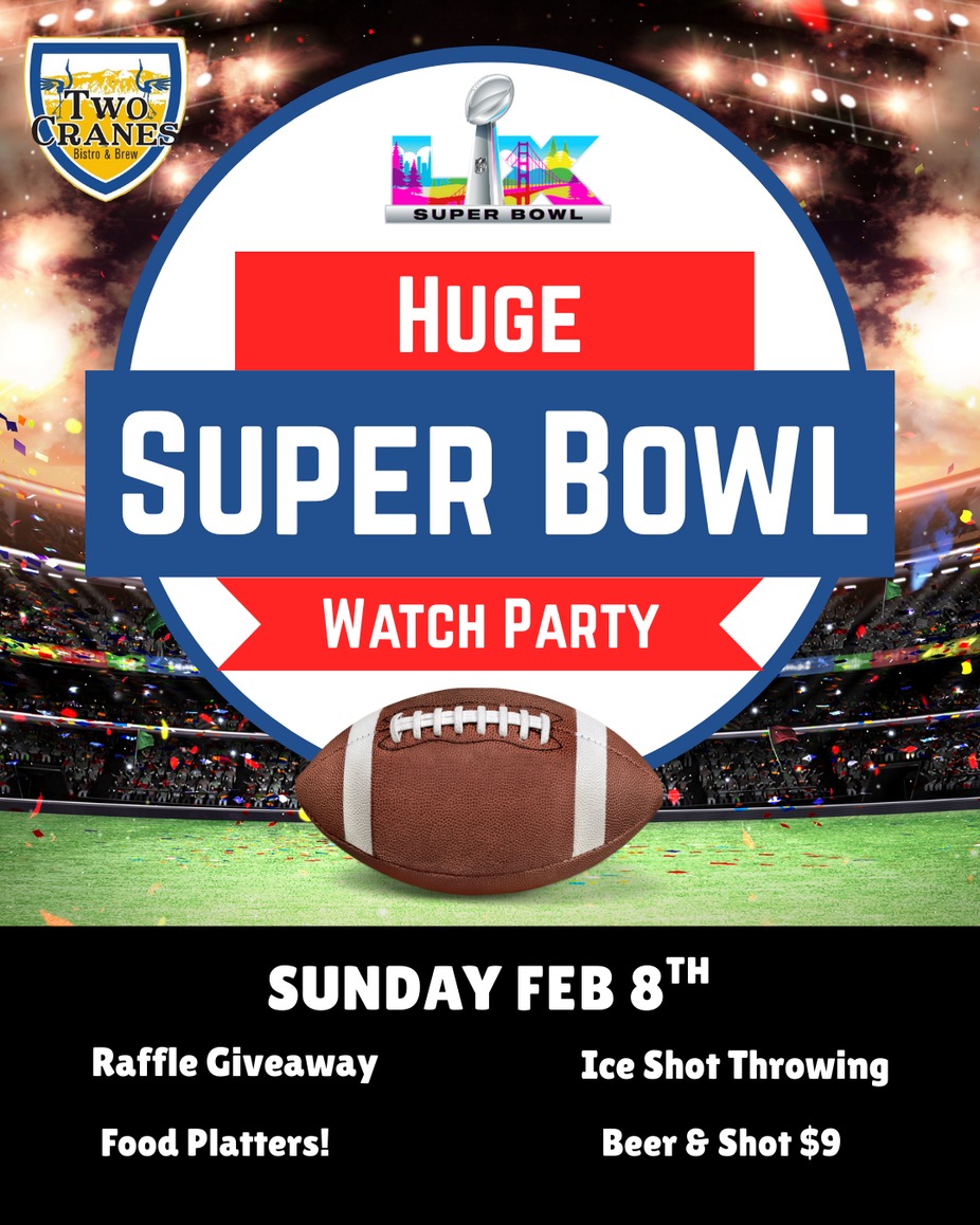 Huge Super Bowl Party event photo
