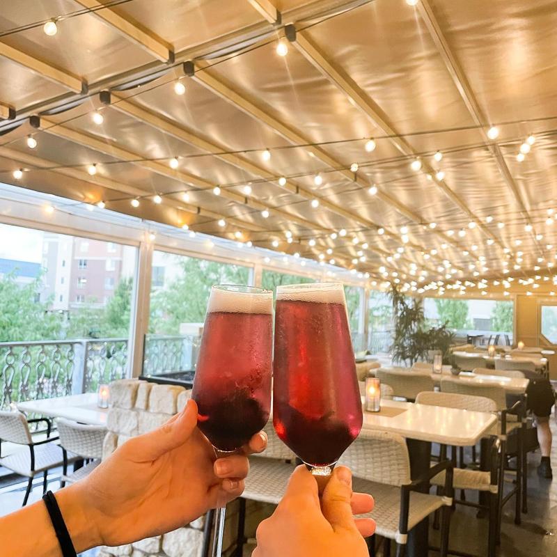 Hibiscus Royale photo