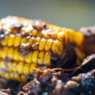 Kauai Shrimp Combo, extreme close up.