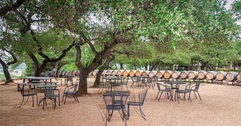 Outside picture of tables and chairs under oak trees with oak barrels in the background.