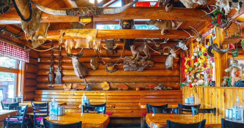 Seating area with decoration on the walls and ceiling