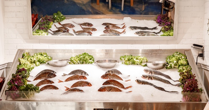 Ice counter, fresh fish