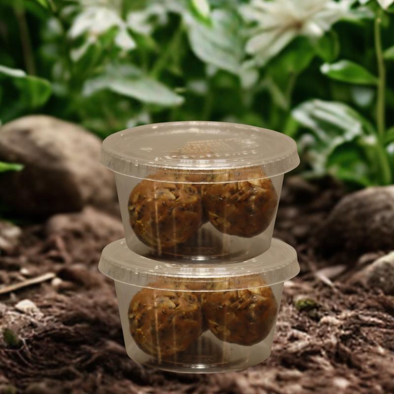 PB Protein Bites photo