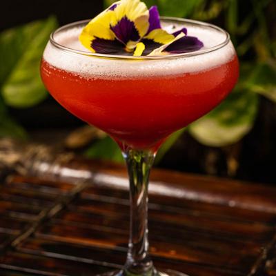 gallery photo number 11