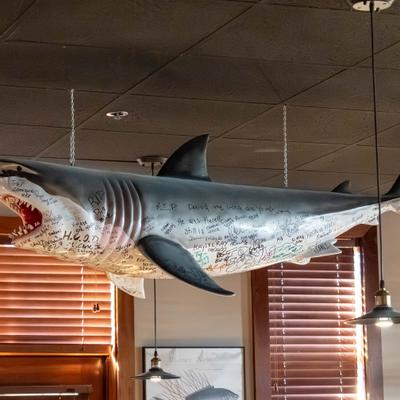 Interior, suspended shark sculpture above a dining area.
