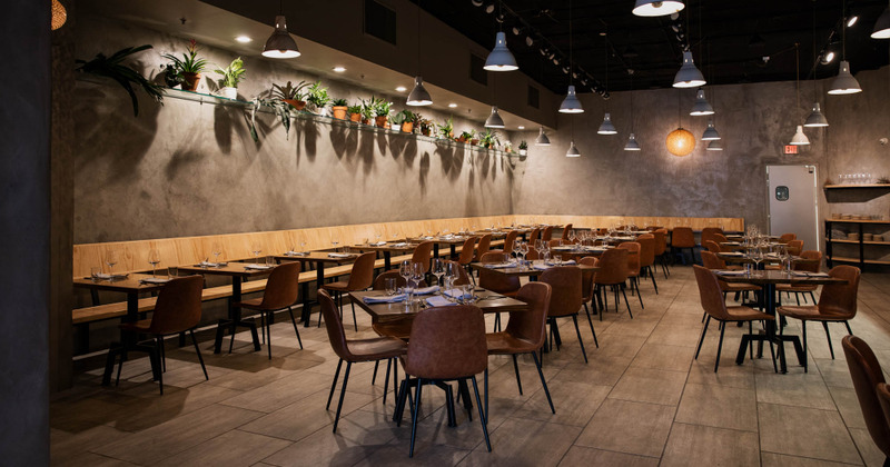 Interior, dining area