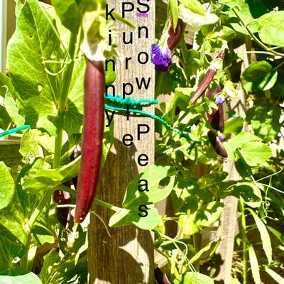 gallery photo number 1