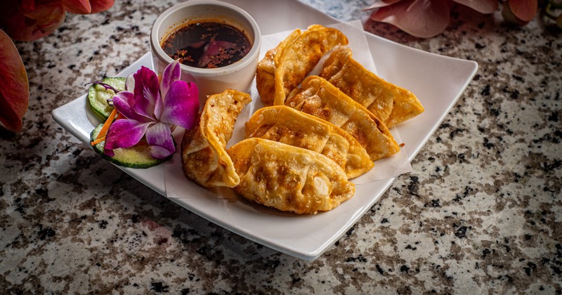 Crispy dumplings with dipping sauce
