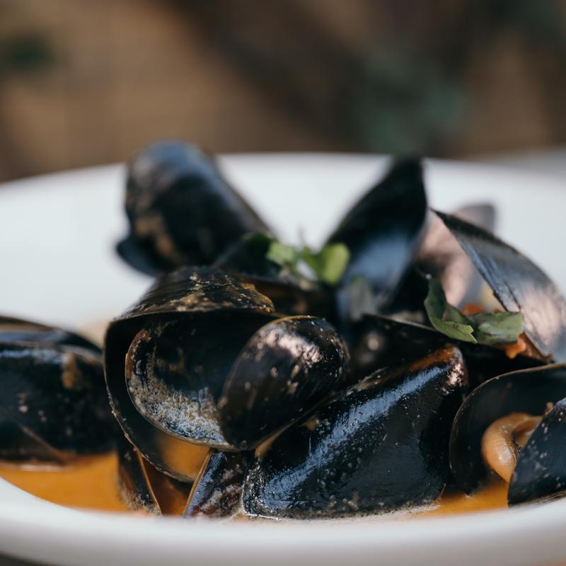 Mussels photo