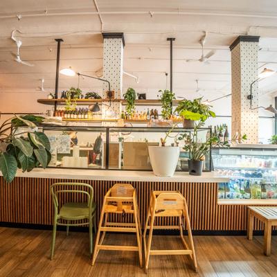 Bright cafe interior with plants, wooden high chairs, and a counter display.
