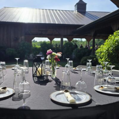 gallery photo number 15