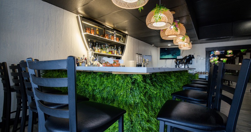 Interior, bar area