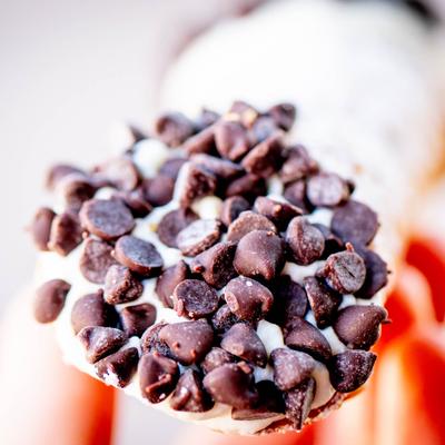 Chocolate chip cannoli, close up.