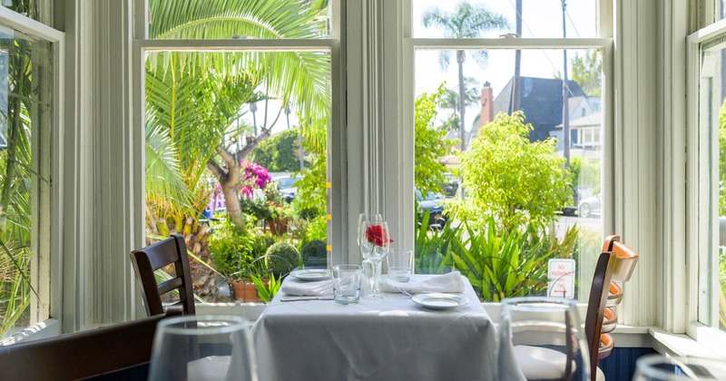 Interior, chairs and table next to the window