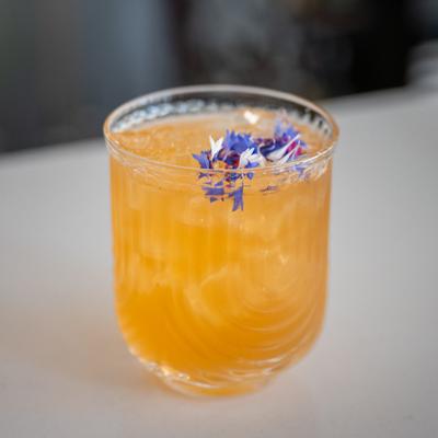 gallery photo number 14