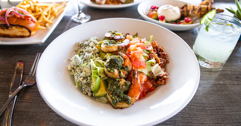 Shrimp salad and cucumber cocktail