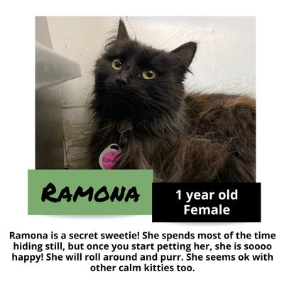 gallery photo number 9