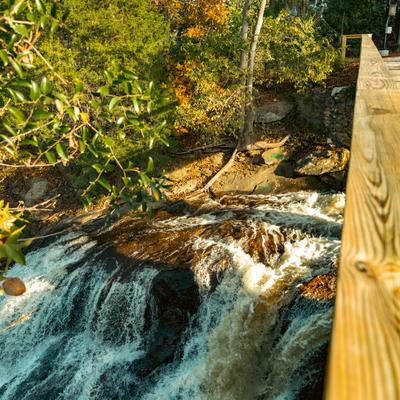 gallery photo number 57