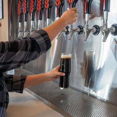 Pouring a glass of Stout from the tap.
