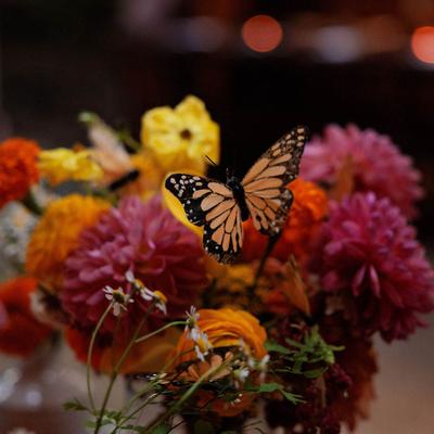 gallery photo number 6