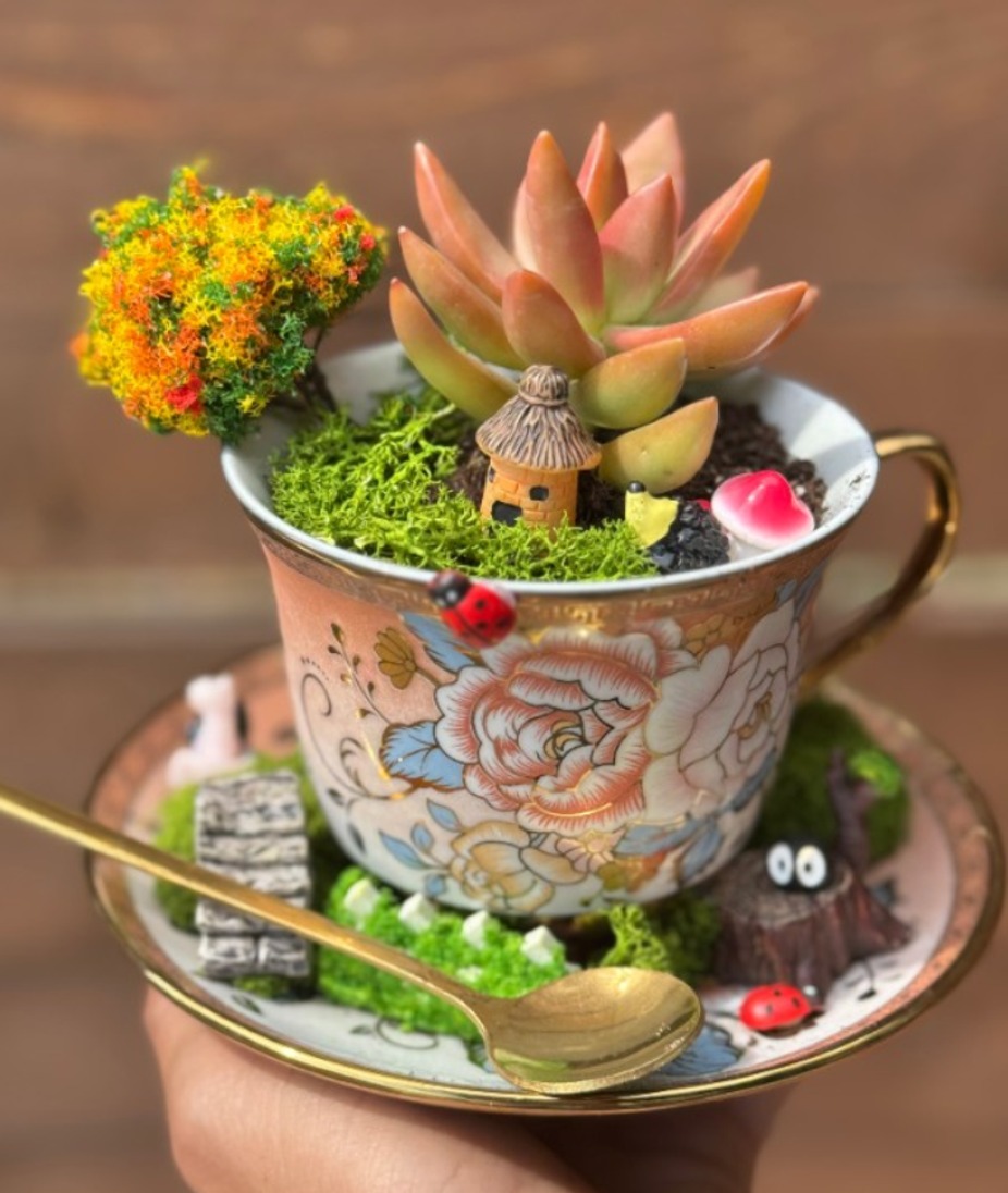 Fall Vintage Fairy Teacup Garden Workshop event photo 10