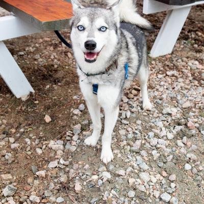 gallery photo number 9