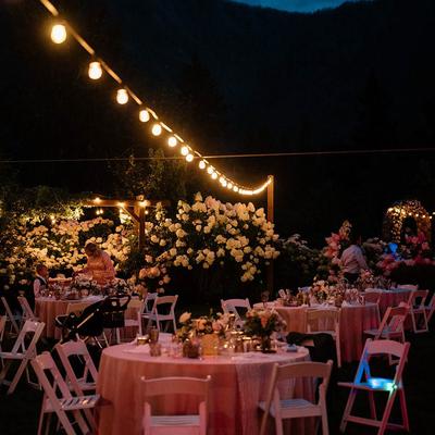 gallery photo number 351