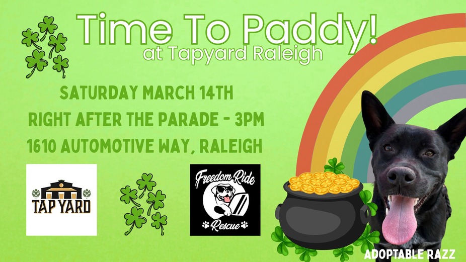 Time to Paddy! Adoption Event from Freedom Ride Rescue event photo