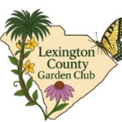 gallery photo number 54