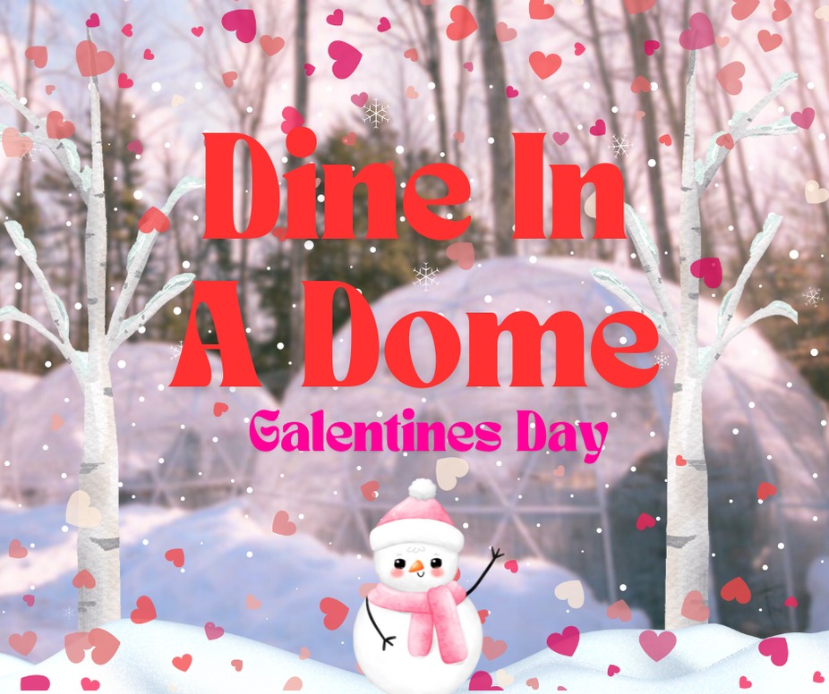 Dine In a Dome (Galentines Edition)  2/14 5pm event photo