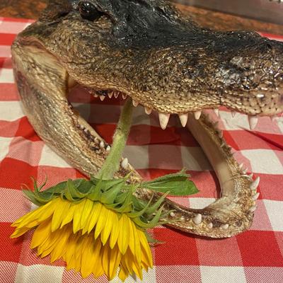 gallery photo number 147