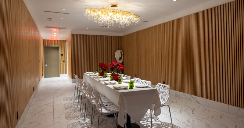 Diner room, diner table for 12