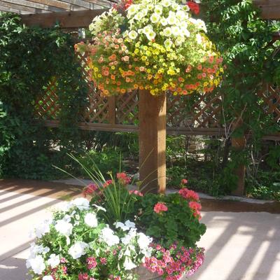 gallery photo number 2