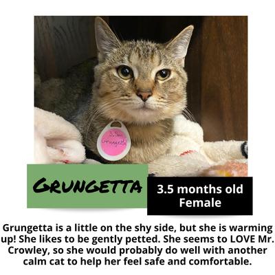 gallery photo number 5