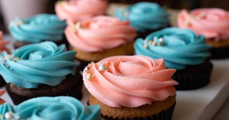 The gender reveal box cupcakes