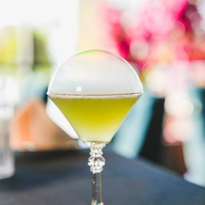 gallery photo number 60