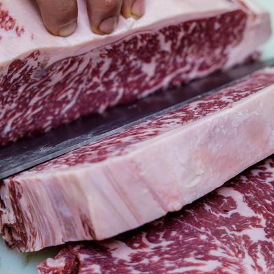 gallery photo number 14