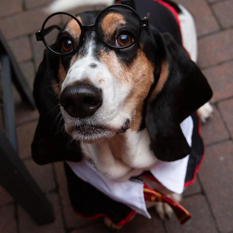 patio gallery photo number 3